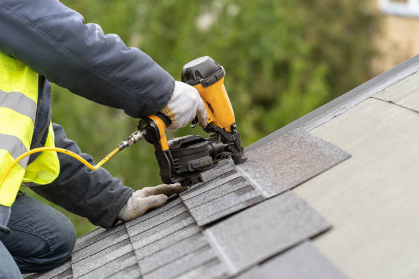 Best Metal Roofing Installation  in Truman, MN