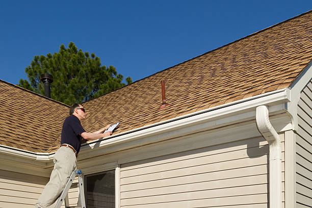 Best Roof Moss and Algae Removal  in Truman, MN